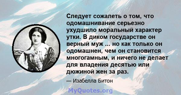 Следует сожалеть о том, что одомашнивание серьезно ухудшило моральный характер утки. В диком государстве он верный муж ... но как только он одомашнен, чем он становится многогамным, и ничего не делает для владения