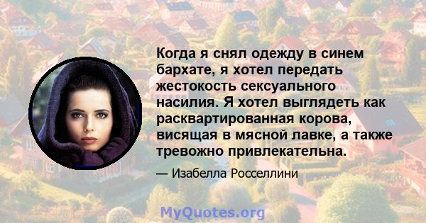 Когда я снял одежду в синем бархате, я хотел передать жестокость сексуального насилия. Я хотел выглядеть как расквартированная корова, висящая в мясной лавке, а также тревожно привлекательна.