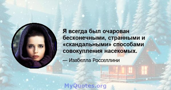 Я всегда был очарован бесконечными, странными и «скандальными» способами совокупления насекомых.