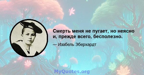 Смерть меня не пугает, но неясно и, прежде всего, бесполезно.