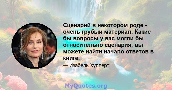 Сценарий в некотором роде - очень грубый материал. Какие бы вопросы у вас могли бы относительно сценария, вы можете найти начало ответов в книге.