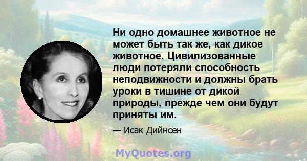 Ни одно домашнее животное не может быть так же, как дикое животное. Цивилизованные люди потеряли способность неподвижности и должны брать уроки в тишине от дикой природы, прежде чем они будут приняты им.