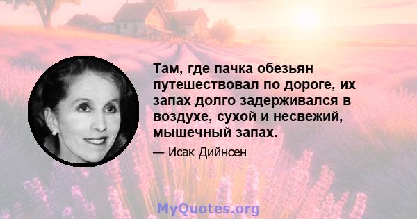 Там, где пачка обезьян путешествовал по дороге, их запах долго задерживался в воздухе, сухой и несвежий, мышечный запах.