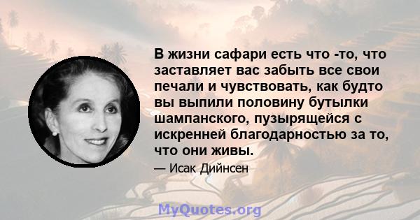 В жизни сафари есть что -то, что заставляет вас забыть все свои печали и чувствовать, как будто вы выпили половину бутылки шампанского, пузырящейся с искренней благодарностью за то, что они живы.