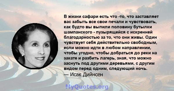 В жизни сафари есть что -то, что заставляет вас забыть все свои печали и чувствовать, как будто вы выпили половину бутылки шампанского - пузырящейся с искренней благодарностью за то, что они живы. Один чувствует себя