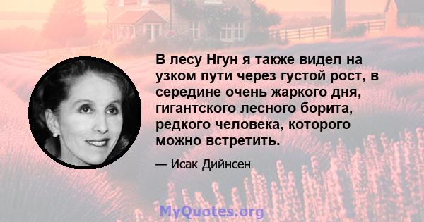 В лесу Нгун я также видел на узком пути через густой рост, в середине очень жаркого дня, гигантского лесного борита, редкого человека, которого можно встретить.