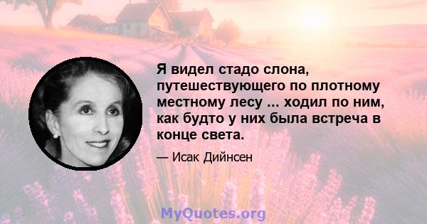 Я видел стадо слона, путешествующего по плотному местному лесу ... ходил по ним, как будто у них была встреча в конце света.