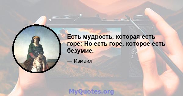 Есть мудрость, которая есть горе; Но есть горе, которое есть безумие.