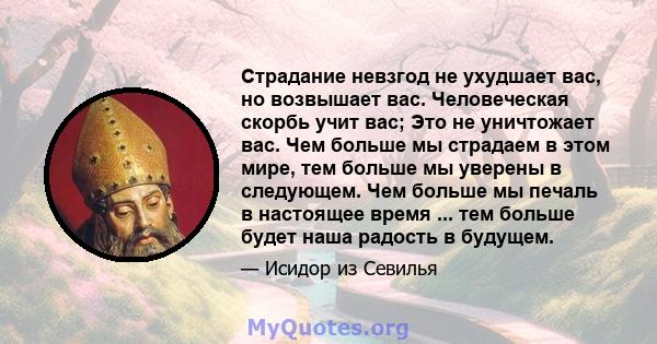 Страдание невзгод не ухудшает вас, но возвышает вас. Человеческая скорбь учит вас; Это не уничтожает вас. Чем больше мы страдаем в этом мире, тем больше мы уверены в следующем. Чем больше мы печаль в настоящее время ... 