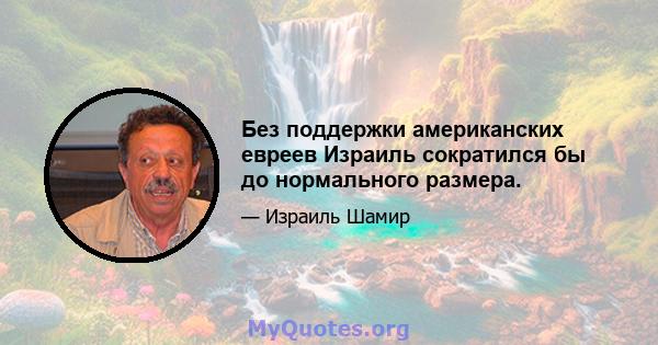 Без поддержки американских евреев Израиль сократился бы до нормального размера.