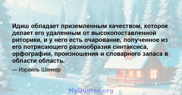 Идиш обладает приземленным качеством, которое делает его удаленным от высокопоставленной риторики, и у него есть очарование, полученное из его потрясающего разнообразия синтаксиса, орфографии, произношения и словарного