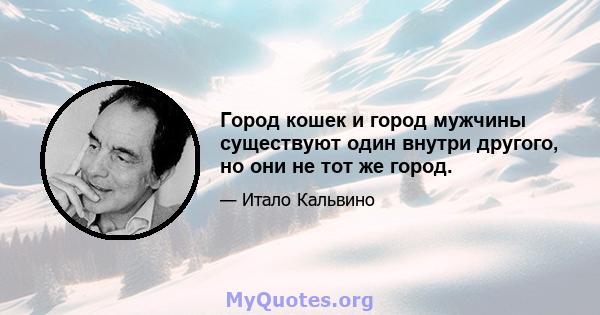 Город кошек и город мужчины существуют один внутри другого, но они не тот же город.