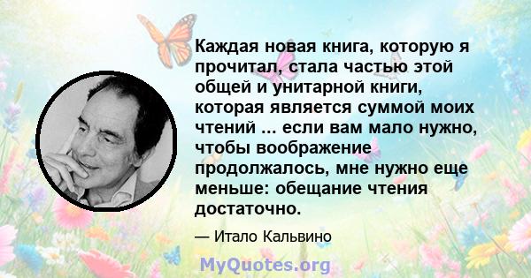 Каждая новая книга, которую я прочитал, стала частью этой общей и унитарной книги, которая является суммой моих чтений ... если вам мало нужно, чтобы воображение продолжалось, мне нужно еще меньше: обещание чтения