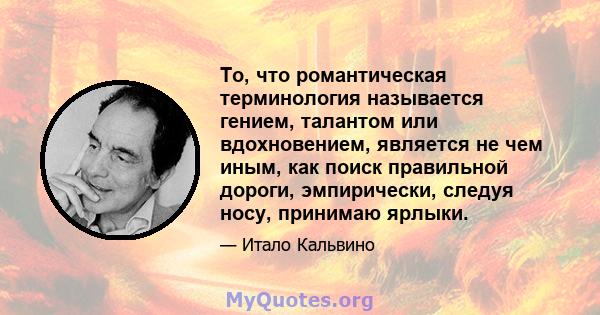 То, что романтическая терминология называется гением, талантом или вдохновением, является не чем иным, как поиск правильной дороги, эмпирически, следуя носу, принимаю ярлыки.