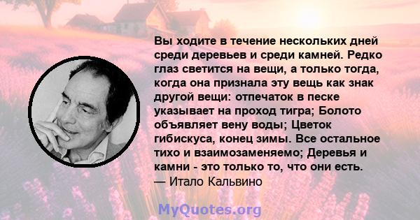 Вы ходите в течение нескольких дней среди деревьев и среди камней. Редко глаз светится на вещи, а только тогда, когда она признала эту вещь как знак другой вещи: отпечаток в песке указывает на проход тигра; Болото