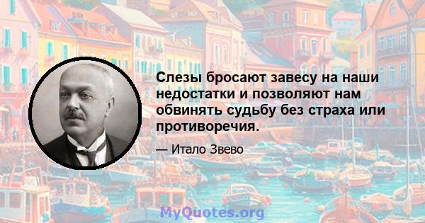 Слезы бросают завесу на наши недостатки и позволяют нам обвинять судьбу без страха или противоречия.