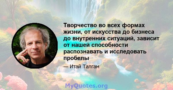 Творчество во всех формах жизни, от искусства до бизнеса до внутренних ситуаций, зависит от нашей способности распознавать и исследовать пробелы