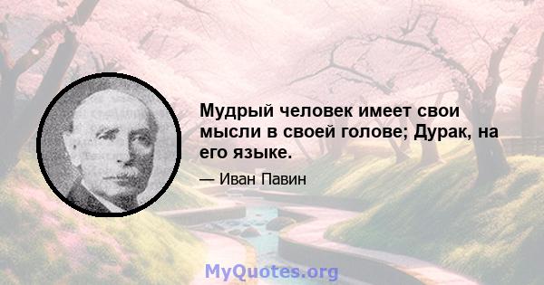 Мудрый человек имеет свои мысли в своей голове; Дурак, на его языке.