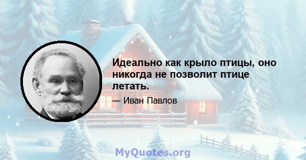 Идеально как крыло птицы, оно никогда не позволит птице летать.