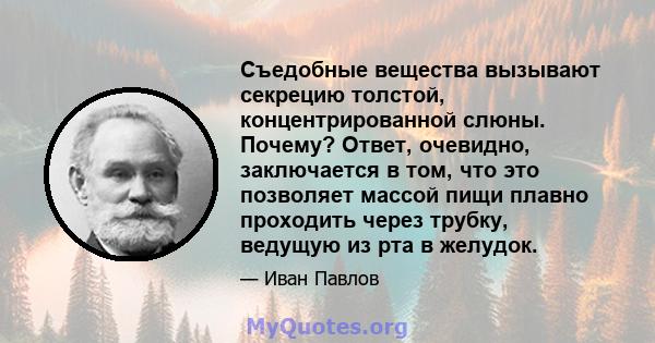 Съедобные вещества вызывают секрецию толстой, концентрированной слюны. Почему? Ответ, очевидно, заключается в том, что это позволяет массой пищи плавно проходить через трубку, ведущую из рта в желудок.