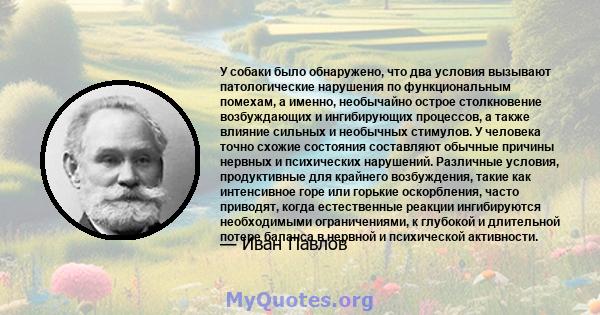 У собаки было обнаружено, что два условия вызывают патологические нарушения по функциональным помехам, а именно, необычайно острое столкновение возбуждающих и ингибирующих процессов, а также влияние сильных и необычных