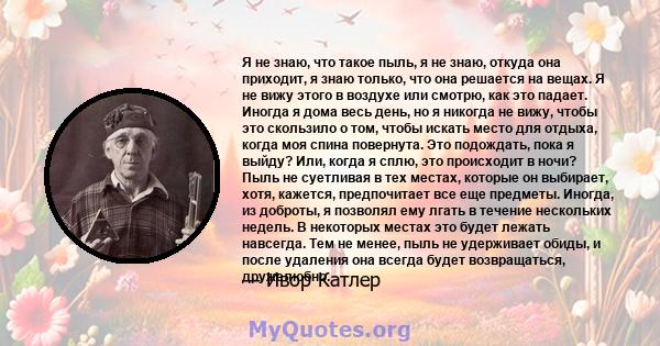 Я не знаю, что такое пыль, я не знаю, откуда она приходит, я знаю только, что она решается на вещах. Я не вижу этого в воздухе или смотрю, как это падает. Иногда я дома весь день, но я никогда не вижу, чтобы это