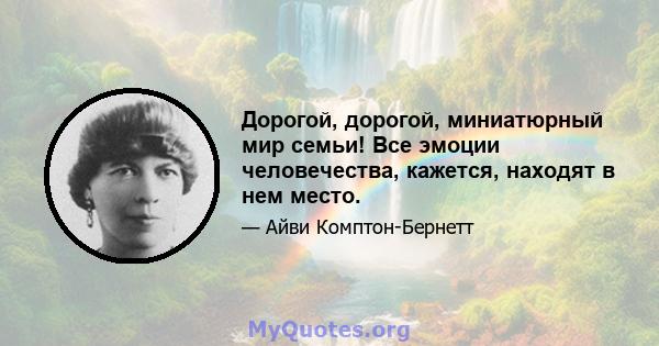 Дорогой, дорогой, миниатюрный мир семьи! Все эмоции человечества, кажется, находят в нем место.