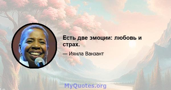 Есть две эмоции: любовь и страх.