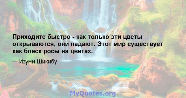 Приходите быстро - как только эти цветы открываются, они падают. Этот мир существует как блеск росы на цветах.