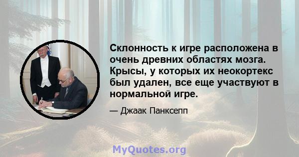 Склонность к игре расположена в очень древних областях мозга. Крысы, у которых их неокортекс был удален, все еще участвуют в нормальной игре.