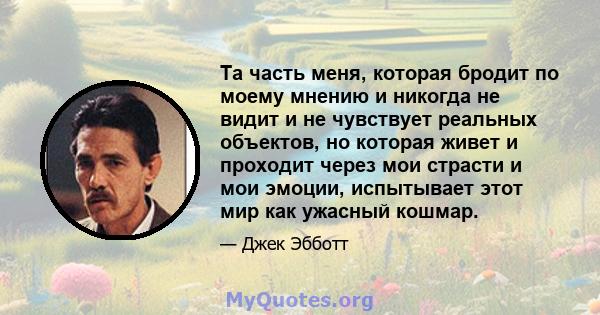 Та часть меня, которая бродит по моему мнению и никогда не видит и не чувствует реальных объектов, но которая живет и проходит через мои страсти и мои эмоции, испытывает этот мир как ужасный кошмар.