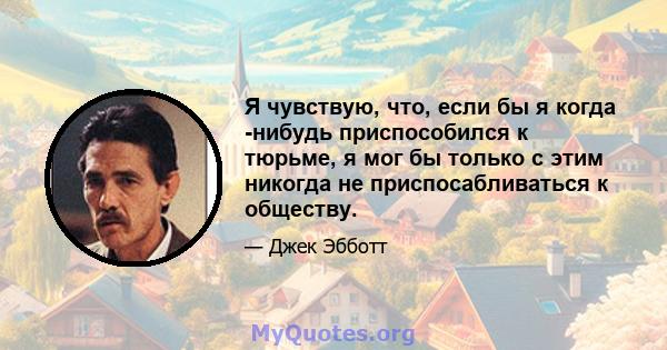 Я чувствую, что, если бы я когда -нибудь приспособился к тюрьме, я мог бы только с этим никогда не приспосабливаться к обществу.