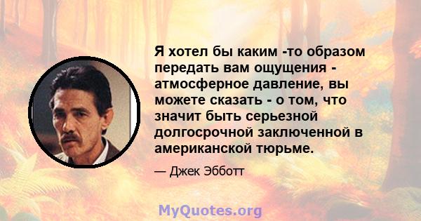 Я хотел бы каким -то образом передать вам ощущения - атмосферное давление, вы можете сказать - о том, что значит быть серьезной долгосрочной заключенной в американской тюрьме.