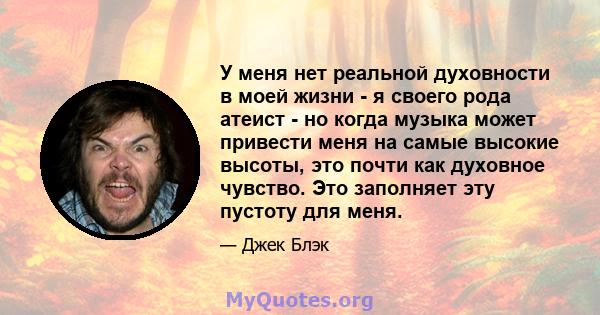 У меня нет реальной духовности в моей жизни - я своего рода атеист - но когда музыка может привести меня на самые высокие высоты, это почти как духовное чувство. Это заполняет эту пустоту для меня.