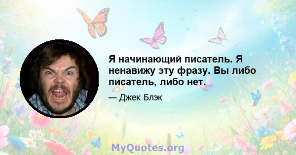 Я начинающий писатель. Я ненавижу эту фразу. Вы либо писатель, либо нет.