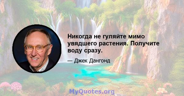 Никогда не гуляйте мимо увядшего растения. Получите воду сразу.