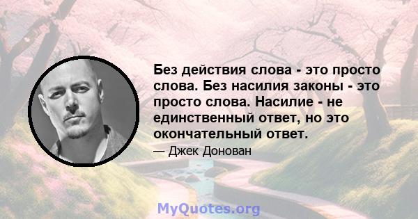 Без действия слова - это просто слова. Без насилия законы - это просто слова. Насилие - не единственный ответ, но это окончательный ответ.