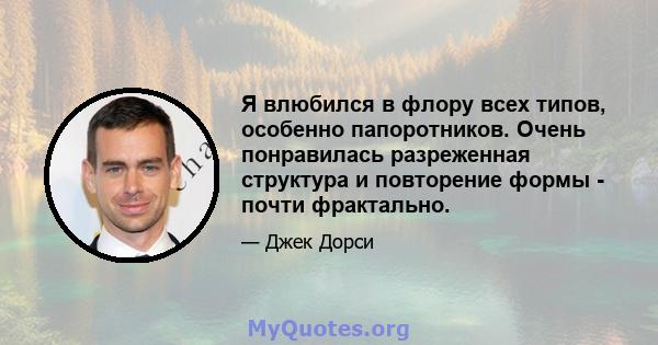 Я влюбился в флору всех типов, особенно папоротников. Очень понравилась разреженная структура и повторение формы - почти фрактально.