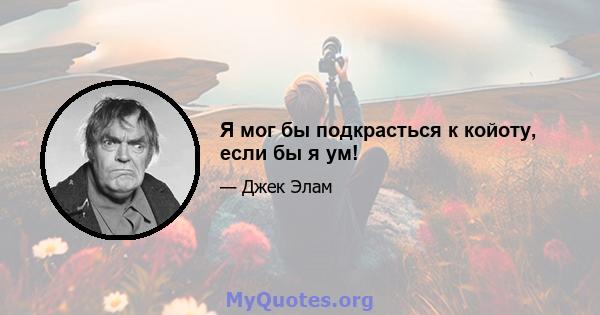 Я мог бы подкрасться к койоту, если бы я ум!