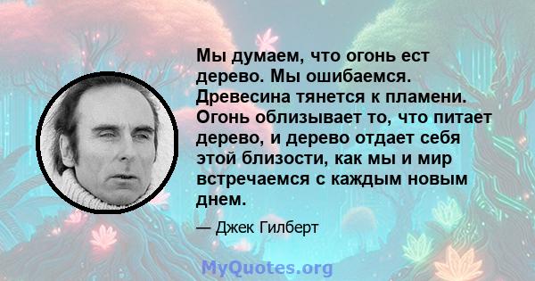 Мы думаем, что огонь ест дерево. Мы ошибаемся. Древесина тянется к пламени. Огонь облизывает то, что питает дерево, и дерево отдает себя этой близости, как мы и мир встречаемся с каждым новым днем.