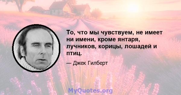 То, что мы чувствуем, не имеет ни имени, кроме янтаря, лучников, корицы, лошадей и птиц.