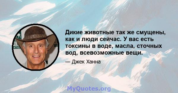 Дикие животные так же смущены, как и люди сейчас. У вас есть токсины в воде, масла, сточных вод, всевозможные вещи.