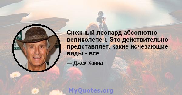 Снежный леопард абсолютно великолепен. Это действительно представляет, какие исчезающие виды - все.