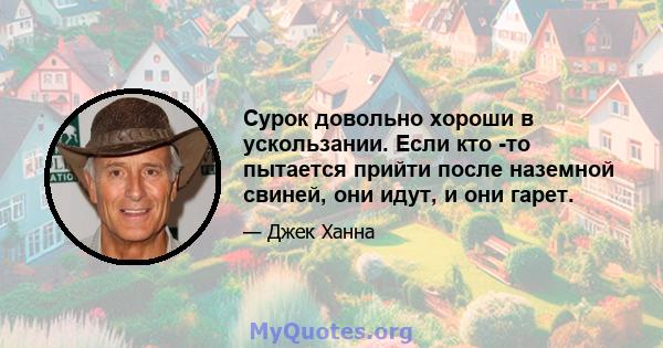 Сурок довольно хороши в ускользании. Если кто -то пытается прийти после наземной свиней, они идут, и они гарет.