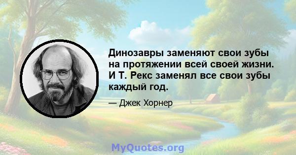 Динозавры заменяют свои зубы на протяжении всей своей жизни. И Т. Рекс заменял все свои зубы каждый год.