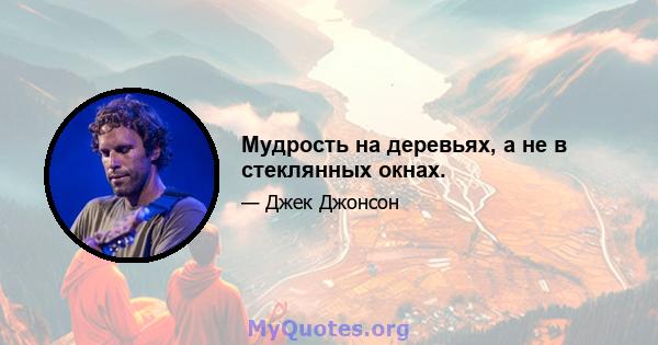 Мудрость на деревьях, а не в стеклянных окнах.