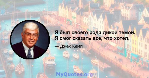 Я был своего рода дикой темой. Я смог сказать все, что хотел.