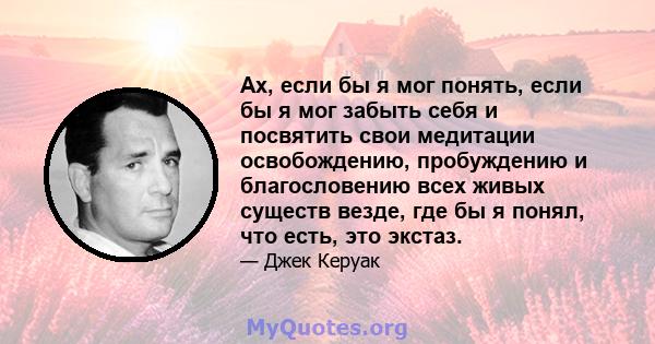 Ах, если бы я мог понять, если бы я мог забыть себя и посвятить свои медитации освобождению, пробуждению и благословению всех живых существ везде, где бы я понял, что есть, это экстаз.