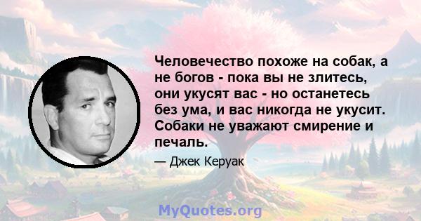 Человечество похоже на собак, а не богов - пока вы не злитесь, они укусят вас - но останетесь без ума, и вас никогда не укусит. Собаки не уважают смирение и печаль.