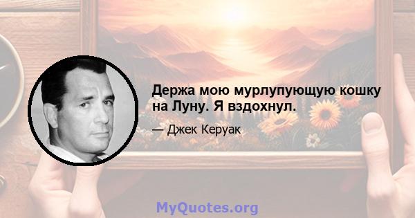 Держа мою мурлупующую кошку на Луну. Я вздохнул.